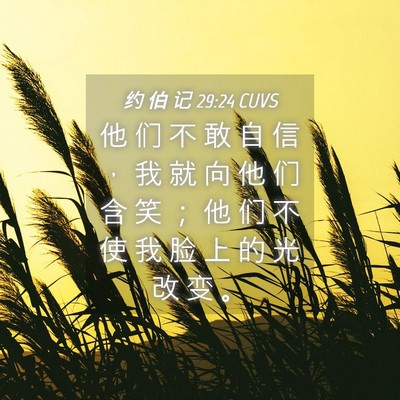 Picture 04 - 约 伯 记 29:24 CUVS - 他 们 不 敢 自 信 ， 我 就 向 他 们 - Bible Verse Picture