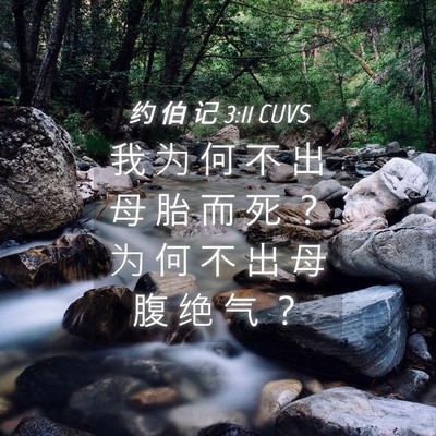 Picture 04 - 约 伯 记 3:11 CUVS - 我 为 何 不 出 母 胎 而 死 ？ 为 何 - Bible Verse Picture