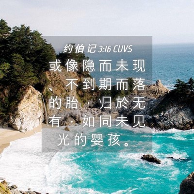 Picture 04 - 约 伯 记 3:16 CUVS - 或 像 隐 而 未 现 、 不 到 期 而 落 - Bible Verse Picture