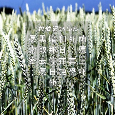 Picture 04 - 约 伯 记 3:5 CUVS - 愿 黑 暗 和 死 荫 索 取 那 日 ； 愿 - Bible Verse Picture