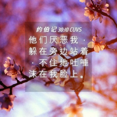 Picture 04 - 约 伯 记 30:10 CUVS - 他 们 厌 恶 我 ， 躲 在 旁 边 站 着 - Bible Verse Picture