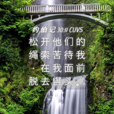 Picture 04 - 约 伯 记 30:11 CUVS - 松 开 他 们 的 绳 索 苦 待 我 ， 在 - Bible Verse Picture