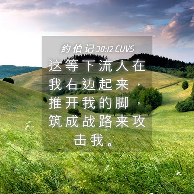 Picture 04 - 约 伯 记 30:12 CUVS - 这 等 下 流 人 在 我 右 边 起 来 ， - Bible Verse Picture