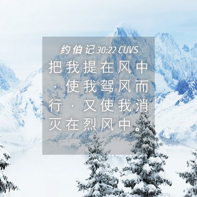 Picture 04 - 约 伯 记 30:22 CUVS - 把 我 提 在 风 中 ， 使 我 驾 风 而 - Bible Verse Picture