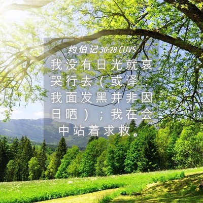 Picture 04 - 约 伯 记 30:28 CUVS - 我 没 有 日 光 就 哀 哭 行 去 （ 或 - Bible Verse Picture