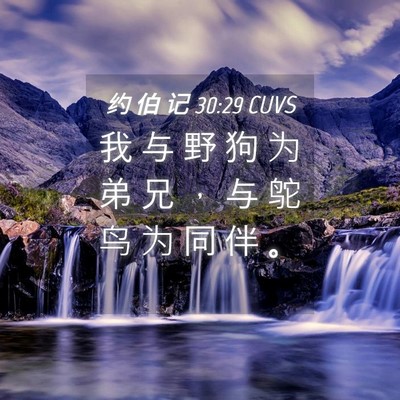 Picture 04 - 约 伯 记 30:29 CUVS - 我 与 野 狗 为 弟 兄 ， 与 鸵 鸟 为 - Bible Verse Picture