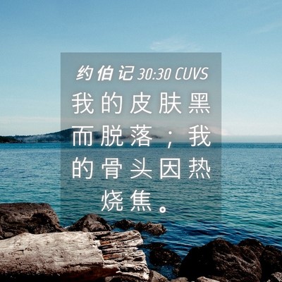 Picture 04 - 约 伯 记 30:30 CUVS - 我 的 皮 肤 黑 而 脱 落 ； 我 的 骨 - Bible Verse Picture
