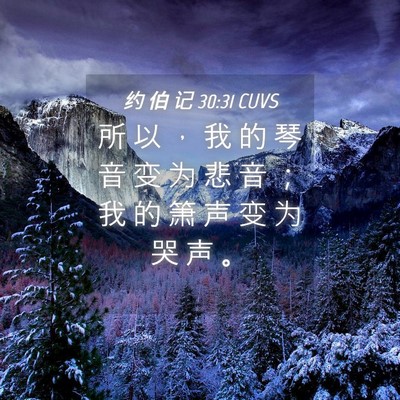 Picture 04 - 约 伯 记 30:31 CUVS - 所 以 ， 我 的 琴 音 变 为 悲 音 ； - Bible Verse Picture