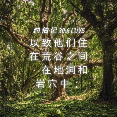 Picture 04 - 约 伯 记 30:6 CUVS - 以 致 他 们 住 在 荒 谷 之 间 ， 在 - Bible Verse Picture