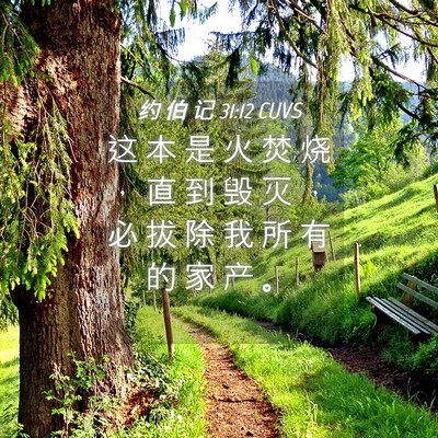 Picture 04 - 约 伯 记 31:12 CUVS - 这 本 是 火 焚 烧 ， 直 到 毁 灭 ， - Bible Verse Picture