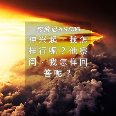 Picture 04 - 约 伯 记 31:14 CUVS - 神 兴 起 ， 我 怎 样 行 呢 ？ 他 察 - Bible Verse Picture
