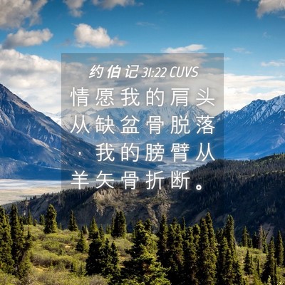 Picture 04 - 约 伯 记 31:22 CUVS - 情 愿 我 的 肩 头 从 缺 盆 骨 脱 落 - Bible Verse Picture