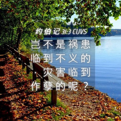 Picture 04 - 约 伯 记 31:3 CUVS - 岂 不 是 祸 患 临 到 不 义 的 ， 灾 - Bible Verse Picture