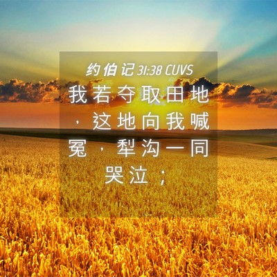 Picture 04 - 约 伯 记 31:38 CUVS - 我 若 夺 取 田 地 ， 这 地 向 我 喊 - Bible Verse Picture