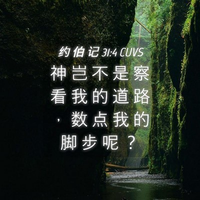 Picture 04 - 约 伯 记 31:4 CUVS - 神 岂 不 是 察 看 我 的 道 路 ， 数 - Bible Verse Picture