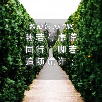 Picture 04 - 约 伯 记 31:5 CUVS - 我 若 与 虚 谎 同 行 ， 脚 若 追 随 - Bible Verse Picture