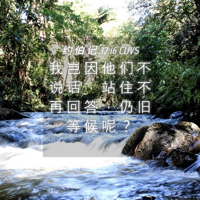 Picture 04 - 约 伯 记 32:16 CUVS - 我 岂 因 他 们 不 说 话 ， 站 住 不 - Bible Verse Picture