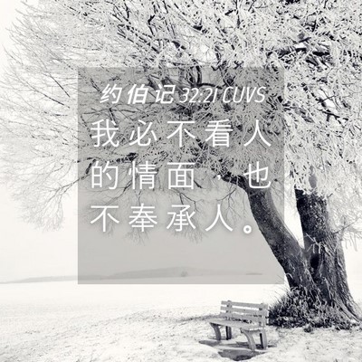 Picture 04 - 约 伯 记 32:21 CUVS - 我 必 不 看 人 的 情 面 ， 也 不 奉 - Bible Verse Picture