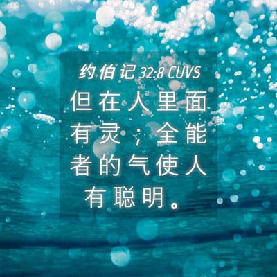 Picture 04 - 约 伯 记 32:8 CUVS - 但 在 人 里 面 有 灵 ； 全 能 者 的 - Bible Verse Picture