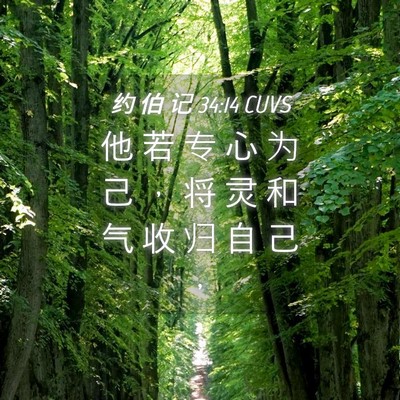 Picture 04 - 约 伯 记 34:14 CUVS - 他 若 专 心 为 己 ， 将 灵 和 气 收 - Bible Verse Picture