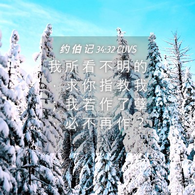 Picture 04 - 约 伯 记 34:32 CUVS - 我 所 看 不 明 的 ， 求 你 指 教 我 - Bible Verse Picture