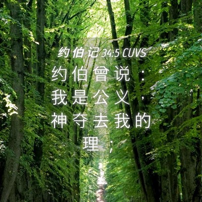 Picture 04 - 约 伯 记 34:5 CUVS - 约 伯 曾 说 ： 我 是 公 义 ， 神 夺 - Bible Verse Picture