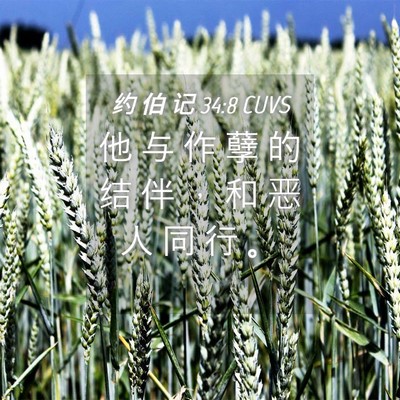 Picture 04 - 约 伯 记 34:8 CUVS - 他 与 作 孽 的 结 伴 ， 和 恶 人 同 - Bible Verse Picture