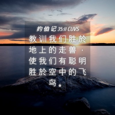 Picture 04 - 约 伯 记 35:11 CUVS - 教 训 我 们 胜 於 地 上 的 走 兽 ， - Bible Verse Picture