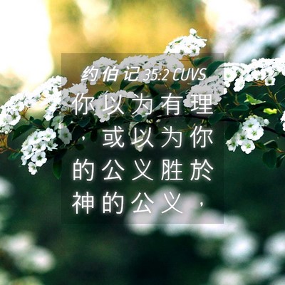 Picture 04 - 约 伯 记 35:2 CUVS - 你 以 为 有 理 ， 或 以 为 你 的 公 - Bible Verse Picture
