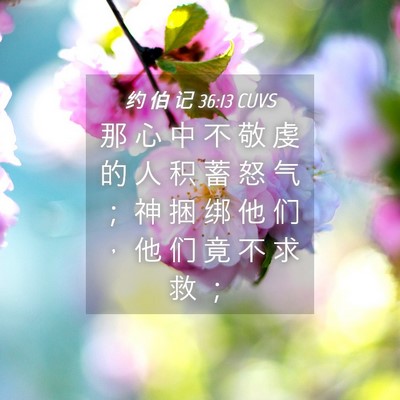 Picture 04 - 约 伯 记 36:13 CUVS - 那 心 中 不 敬 虔 的 人 积 蓄 怒 气 - Bible Verse Picture
