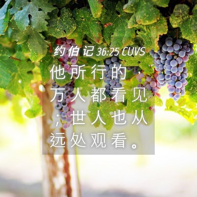 Picture 04 - 约 伯 记 36:25 CUVS - 他 所 行 的 ， 万 人 都 看 见 ； 世 - Bible Verse Picture
