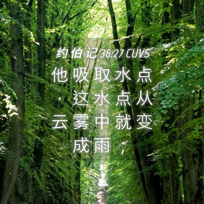 Picture 04 - 约 伯 记 36:27 CUVS - 他 吸 取 水 点 ， 这 水 点 从 云 雾 - Bible Verse Picture