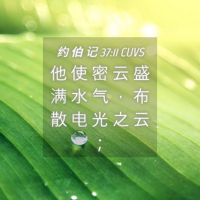 Picture 04 - 约 伯 记 37:11 CUVS - 他 使 密 云 盛 满 水 气 ， 布 散 电 - Bible Verse Picture