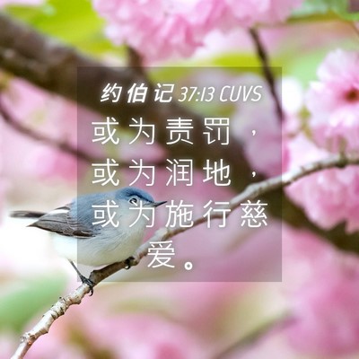 Picture 04 - 约 伯 记 37:13 CUVS - 或 为 责 罚 ， 或 为 润 地 ， 或 为 - Bible Verse Picture