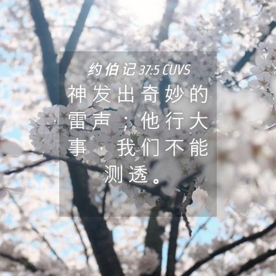 Picture 04 - 约 伯 记 37:5 CUVS - 神 发 出 奇 妙 的 雷 声 ； 他 行 大 - Bible Verse Picture