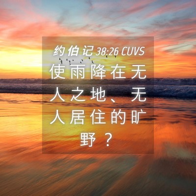 Picture 04 - 约 伯 记 38:26 CUVS - 使 雨 降 在 无 人 之 地 、 无 人 居 - Bible Verse Picture