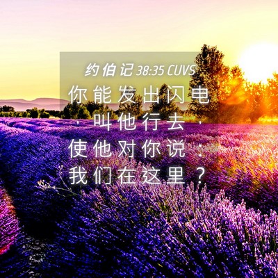 Picture 04 - 约 伯 记 38:35 CUVS - 你 能 发 出 闪 电 ， 叫 他 行 去 ， - Bible Verse Picture