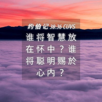 Picture 04 - 约 伯 记 38:36 CUVS - 谁 将 智 慧 放 在 怀 中 ？ 谁 将 聪 - Bible Verse Picture