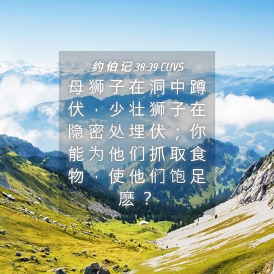 Picture 04 - 约 伯 记 38:39 CUVS - 母 狮 子 在 洞 中 蹲 伏 ， 少 壮 狮 - Bible Verse Picture