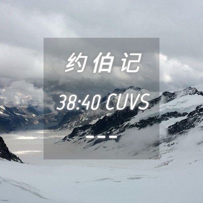 Picture 04 - 约 伯 记 38:40 CUVS -  - Bible Verse Picture