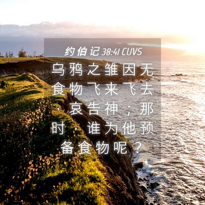 Picture 04 - 约 伯 记 38:41 CUVS - 乌 鸦 之 雏 因 无 食 物 飞 来 飞 去 - Bible Verse Picture