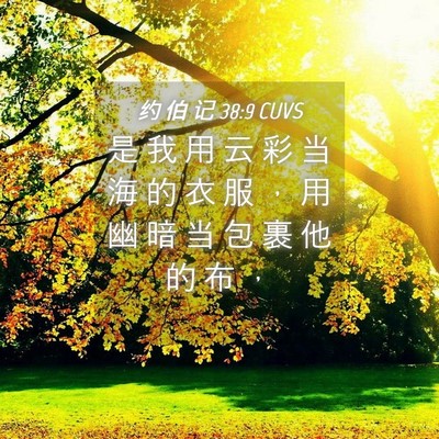 Picture 04 - 约 伯 记 38:9 CUVS - 是 我 用 云 彩 当 海 的 衣 服 ， 用 - Bible Verse Picture