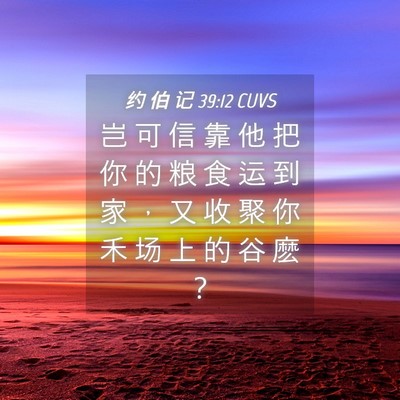 Picture 04 - 约 伯 记 39:12 CUVS - 岂 可 信 靠 他 把 你 的 粮 食 运 到 - Bible Verse Picture