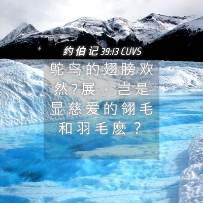 Picture 04 - 约 伯 记 39:13 CUVS - 鸵 鸟 的 翅 膀 欢 然 ? 展 ， 岂 是 显 - Bible Verse Picture