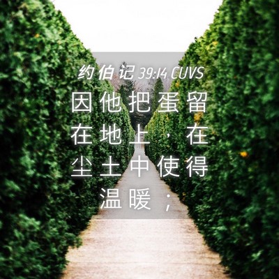 Picture 04 - 约 伯 记 39:14 CUVS - 因 他 把 蛋 留 在 地 上 ， 在 尘 土 - Bible Verse Picture