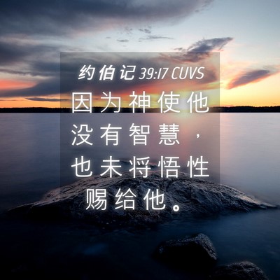 Picture 04 - 约 伯 记 39:17 CUVS - 因 为 神 使 他 没 有 智 慧 ， 也 未 - Bible Verse Picture