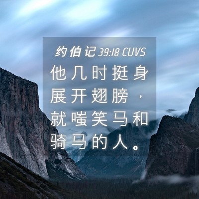 Picture 04 - 约 伯 记 39:18 CUVS - 他 几 时 挺 身 展 开 翅 膀 ， 就 嗤 - Bible Verse Picture