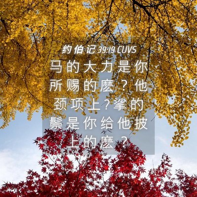 Picture 04 - 约 伯 记 39:19 CUVS - 马 的 大 力 是 你 所 赐 的 麽 ？ 他 - Bible Verse Picture