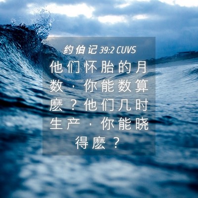 Picture 04 - 约 伯 记 39:2 CUVS - 他 们 怀 胎 的 月 数 ， 你 能 数 算 - Bible Verse Picture