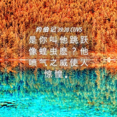 Picture 04 - 约 伯 记 39:20 CUVS - 是 你 叫 他 跳 跃 像 蝗 虫 麽 ？ 他 - Bible Verse Picture